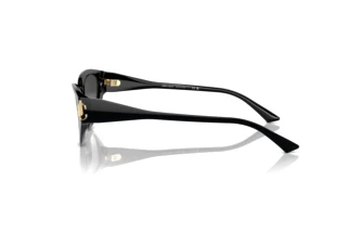 Side view Jimmy Choo JC5019 (50008G)