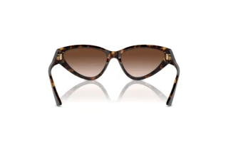 Rear view Jimmy Choo JC5019 (500213)