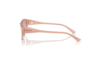 Side view Jimmy Choo JC5019 (502768)