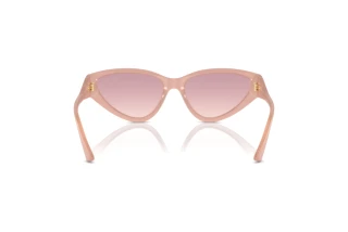 Rear view Jimmy Choo JC5019 (502768)
