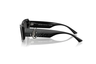 Side view Jimmy Choo JC5020B (501787)
