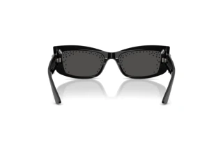 Rear view Jimmy Choo JC5020B (501787)