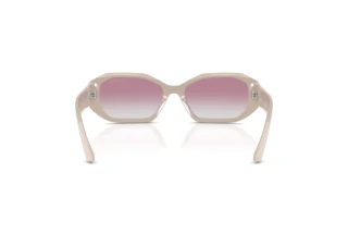 Rear view Jimmy Choo JC5021BU (503358)