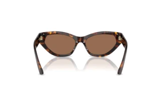 Rear view Jimmy Choo JC5022B (500273)
