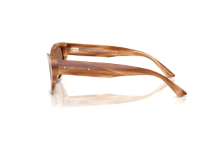 Side view Jimmy Choo JC5022B (505573)