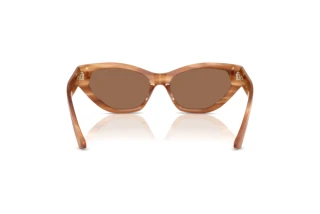 Rear view Jimmy Choo JC5022B (505573)