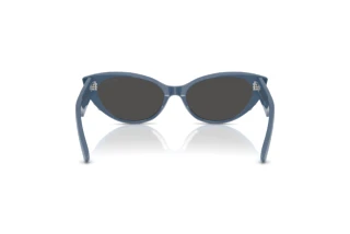 Rear view Jimmy Choo JC5023H (502087)