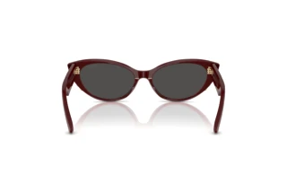 Rear view Jimmy Choo JC5023H (505787)