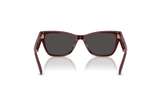 Rear view Jimmy Choo JC5024HU (505787)