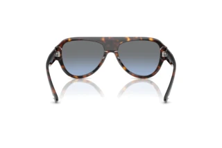 Rear view Jimmy Choo JC5027 (50028F)