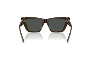 Rear view Jimmy Choo JC5028 (506087)