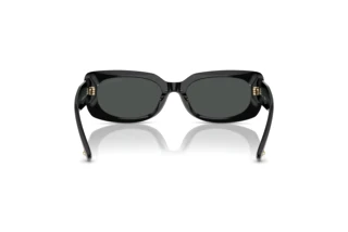 Rear view Jimmy Choo JC5029U (500087)