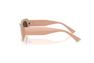 Side view Jimmy Choo JC5029U (501987)