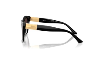 Side view Jimmy Choo JC5031 (50008G)