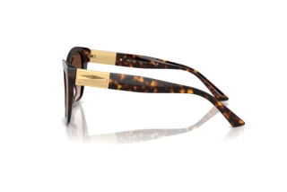 Side view Jimmy Choo JC5031 (500213)