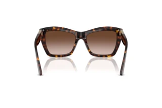Rear view Jimmy Choo JC5031 (500213)