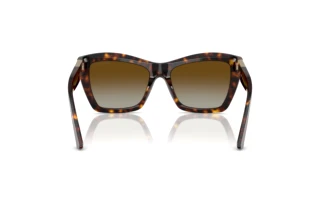 Rear view Jimmy Choo JC5031 (5002T5)