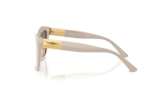 Side view Jimmy Choo JC5031 (50336I)