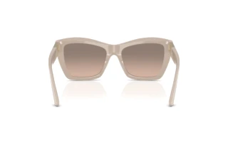 Rear view Jimmy Choo JC5031 (50336I)