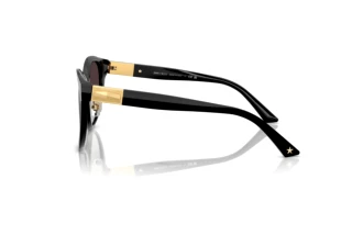 Side view Jimmy Choo JC5032D (500086)