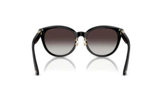 Rear view Jimmy Choo JC5032D (500086)