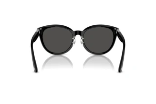 Rear view Jimmy Choo JC5032D (500087)