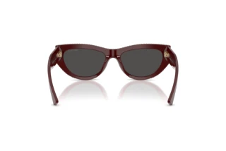 Rear view Jimmy Choo JC5034BU (505787)