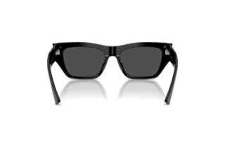 Rear view Jimmy Choo JC5035B (500087)