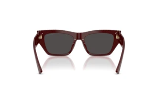 Rear view Jimmy Choo JC5035B (505787)
