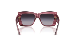 Rear view Jimmy Choo JC5036B (50648G)