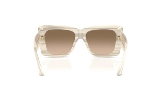 Rear view Jimmy Choo JC5036B (50656I)