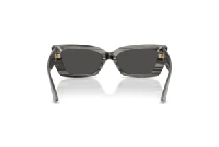 Rear view Jimmy Choo JC5037BU (506387)
