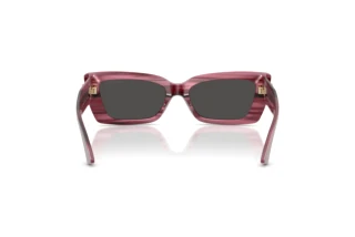 Rear view Jimmy Choo JC5037BU (506487)