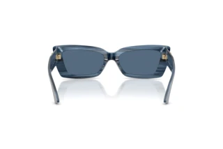 Rear view Jimmy Choo JC5037BU (507280)