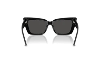 Rear view Jimmy Choo JC5041 (500087)