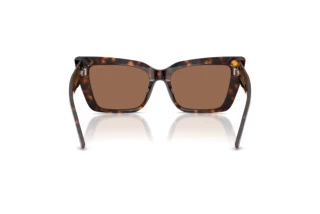 Rear view Jimmy Choo JC5041 (500273)