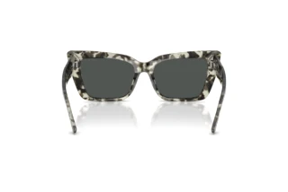 Rear view Jimmy Choo JC5041 (506887)