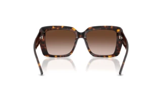 Rear view Jimmy Choo JC5042 (500213)