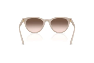 Rear view Jimmy Choo JC5043D (50333B)