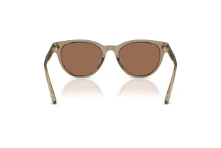 Rear view Jimmy Choo JC5043D (505173)