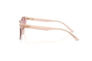 Side view Jimmy Choo JC5043D (505268)