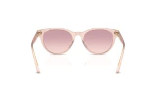 Rear view Jimmy Choo JC5043D (505268)