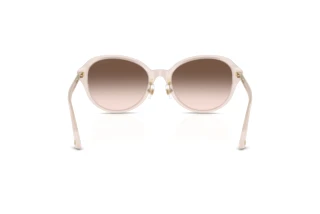 Rear view Jimmy Choo JC5044D (50253B)