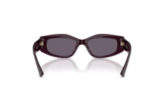 Rear view Jimmy Choo JC5046BU (50751A)
