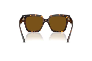 Rear view Jimmy Choo JC5047B (500283)