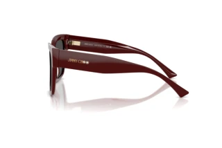 Side view Jimmy Choo JC5047B (505787)