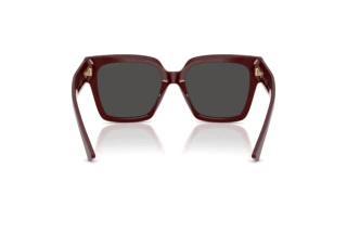 Rear view Jimmy Choo JC5047B (505787)