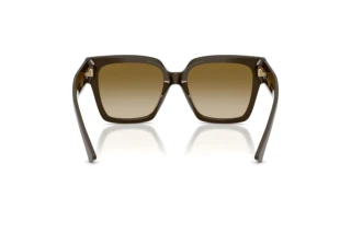 Rear view Jimmy Choo JC5047B (506013)