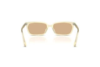 Rear view Jimmy Choo JC5050U (5083/8)