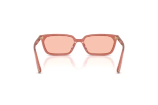 Rear view Jimmy Choo JC5050U (508484)